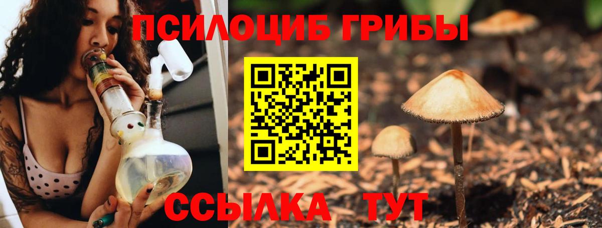 Псилоцибиновые грибы прущие грибы  Псилоцибиновые грибы Magic Shrooms  Аша  Вход с VPN 